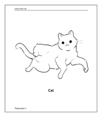 Farm animal coloring sheet: Cat