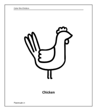 Farm animal coloring sheet: Chicken (Coloring animals pdf)