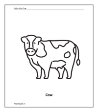 Farm animal coloring sheet: Cow (Coloring animals pdf)