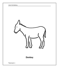 Farm animal coloring sheet: Donkey (animal color pages)