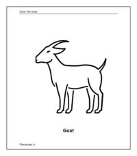 Farm animal coloring sheet: Goat
