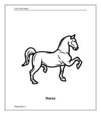 Farm animal coloring sheet: Horse