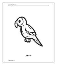 Farm animal color pages: Parrot