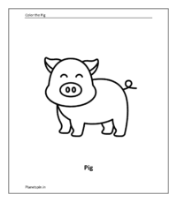 Farm animal coloring sheet: Pig (Coloring animals pdf)