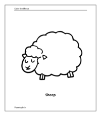 Farm animal coloring sheet: Sheep
