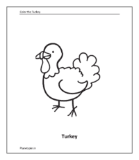 Farm animal coloring sheet: Turkey