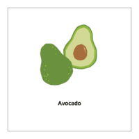 Flash card of fruits: Avocado