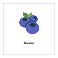 Flash card of fruits: Blueberry