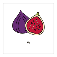 Flash card of fruits: Fig