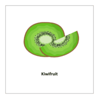 Flash card of fruits: Kiwifruit
