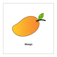 Flash card of fruits: Mango