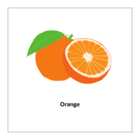 Flash card of fruits: Orange