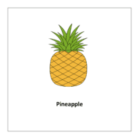 Flash card of fruits: Pineapple