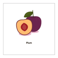 Flash card of fruits: Plum