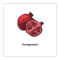 Flash card of fruits: Pomegranate
