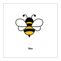 Flash card of insects: Bee