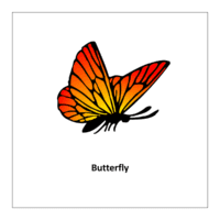 Insects kindergarten flashcard: Butterfly