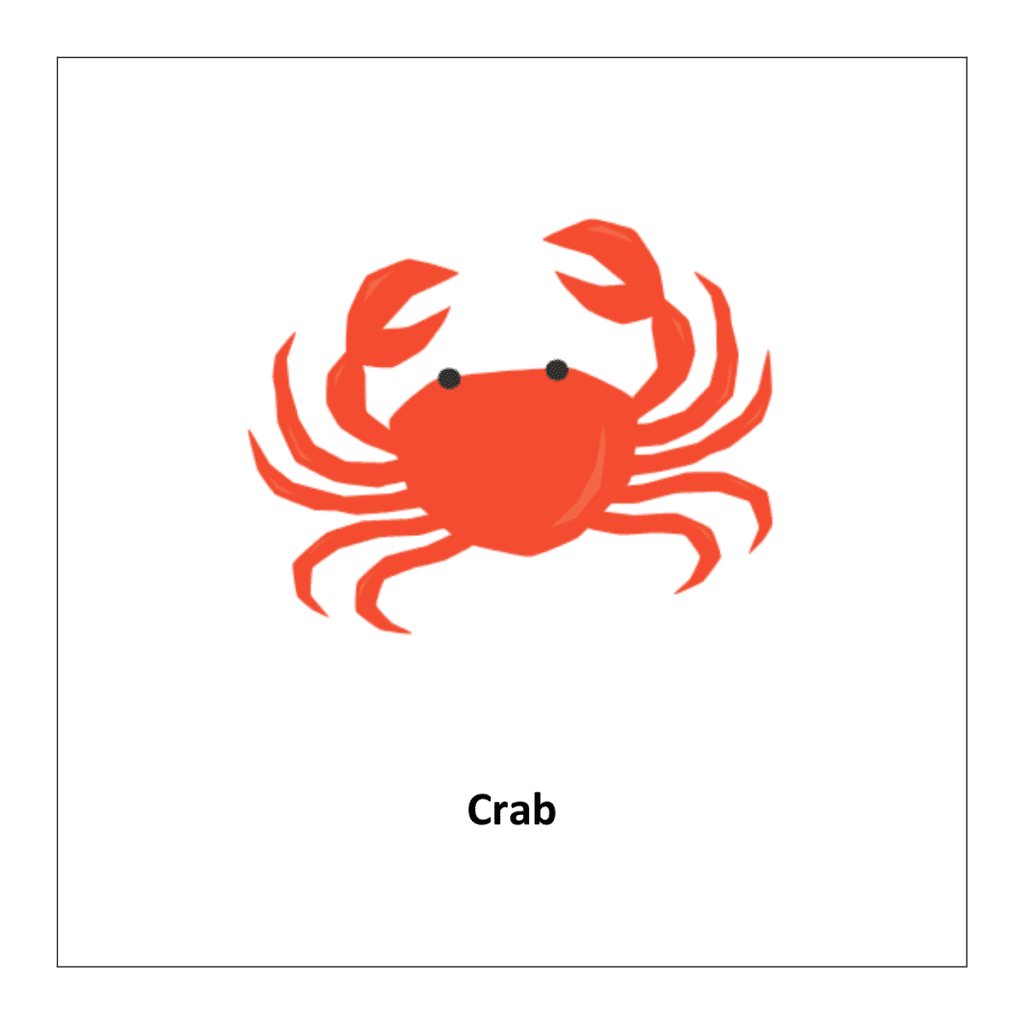 Flash card of insects: Crab