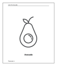 Fruit coloring sheet: Avocado