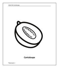 Fruit coloring sheet: Cantaloupe