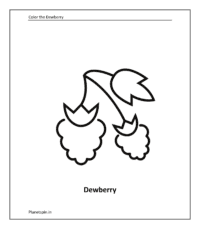 Fruit coloring sheet: Dewberry