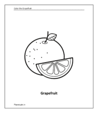 Fruit coloring sheet: Grapefruit