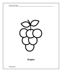 Fruit coloring sheet: Grapes