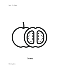 Fruit coloring sheet: Guava