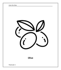 Fruit coloring sheet: Olive
