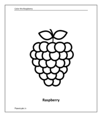 Fruit coloring sheet: Raspberry