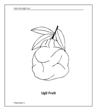 Fruit coloring sheet: Ugli Fruit