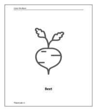 Vegetable coloring sheet: Beet
