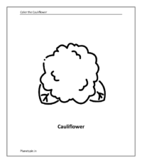 Vegetable coloring sheet: Cauliflower