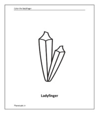 Vegetable coloring sheet: Ladyfinger