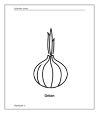 Vegetable coloring sheet: Onion