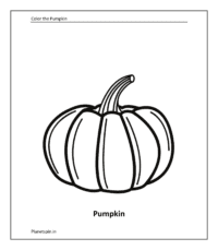 Vegetable coloring sheet: Pumpkin