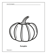  Pumpkin