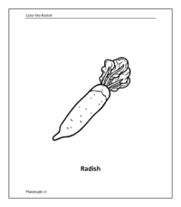 Vegetable coloring sheet: Radish
