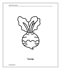 Vegetable coloring sheet: Turnip