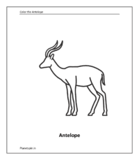 Wild animal coloring sheet: Antelope