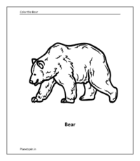 Wild animal coloring sheet: Bear