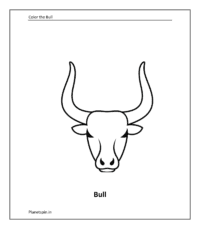 Wild animal coloring sheet: Bull (Coloring animals pdf)