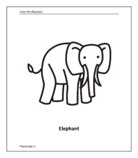 Wild animal coloring sheet: Elephant