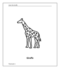 Wild animal coloring sheet: Giraffe