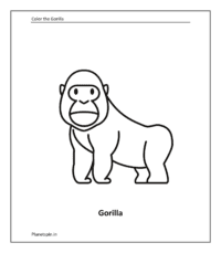 Wild animal color pages: Gorilla