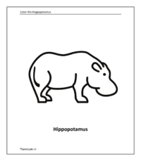 Wild animal coloring sheet: Hippopotamus (Coloring animals pdf)