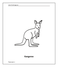 Wild animal coloring sheet: Kangaroo