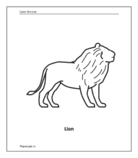 Wild animal coloring sheet: Lion