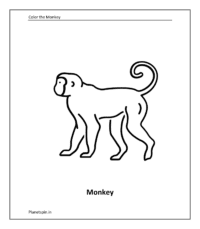 Wild animal coloring sheet: Monkey