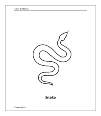 Wild animal color pages: Snake